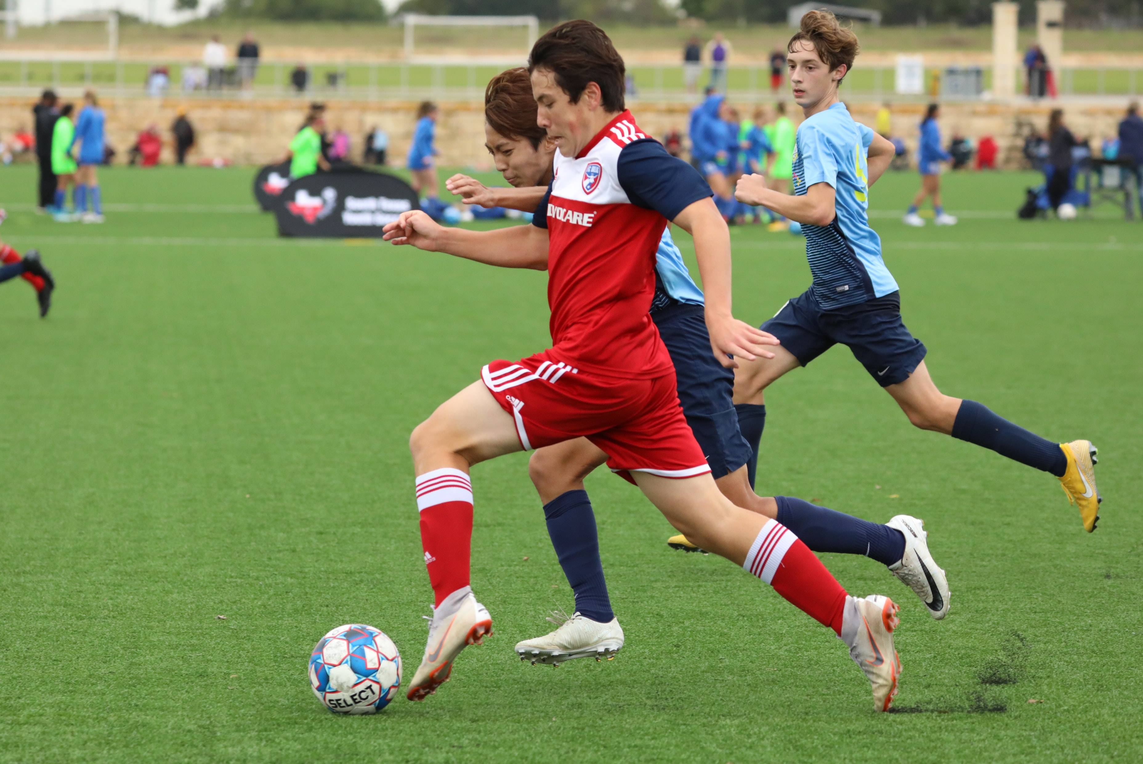 能性不仅让 能性不仅让