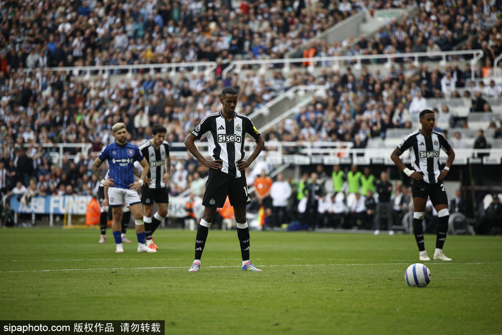 重要作用 重要作用