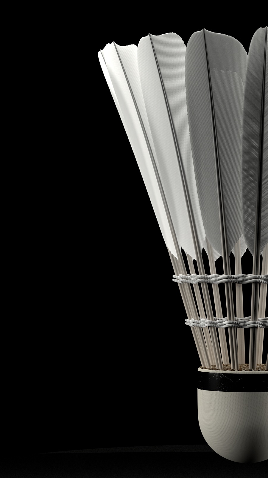 堪萨斯城竞 堪萨斯城竞