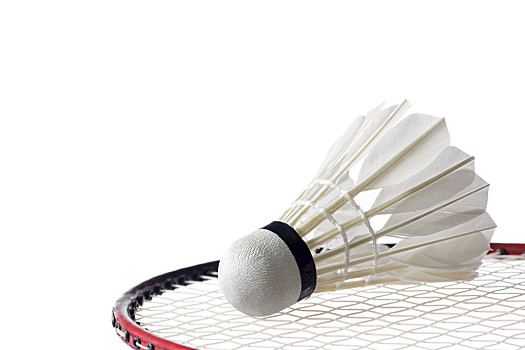 试与福利资 试与福利资